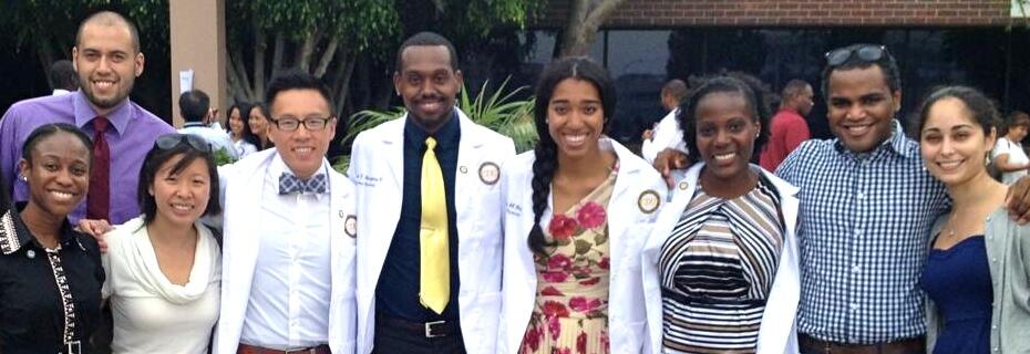 Undergraduate students pursuing research